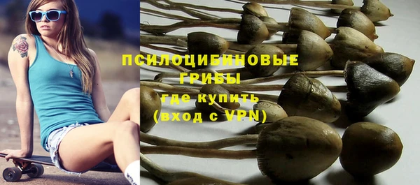 прущие крисы Баксан